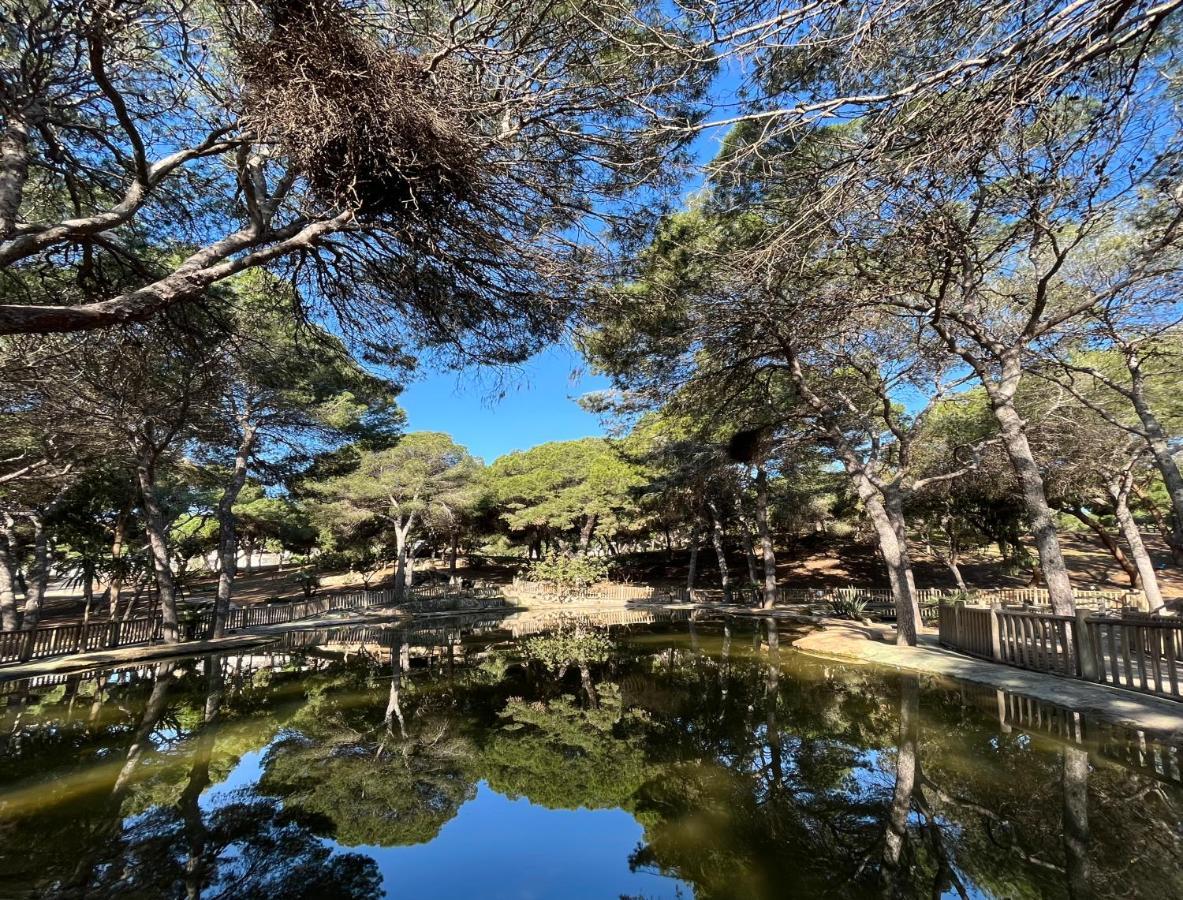 Hotel Parquemar Guardamar del Segura Eksteriør billede